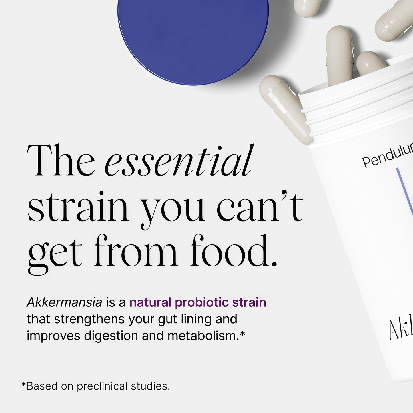 Pendulum Akkermansia Probiotic with Prebiotic Fiber - Delayed Release Capsules, Third-Party Tested, Authentic 100M AFU Live Strain for Gut Health & GLP-1 Support for Men & Women (90 Capsules, 1-Pack)
